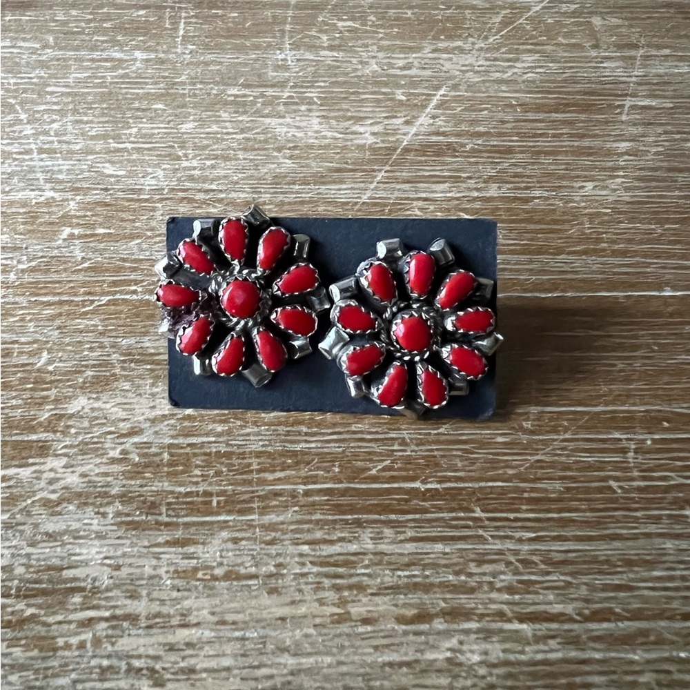 Native American earrings